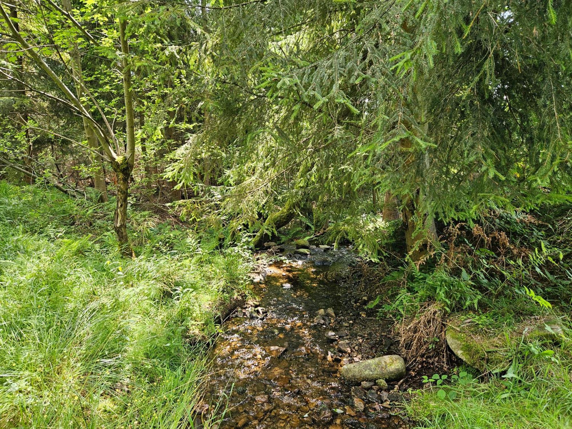 Chata Goralska Wojtasowka Kamesznica Exterior photo