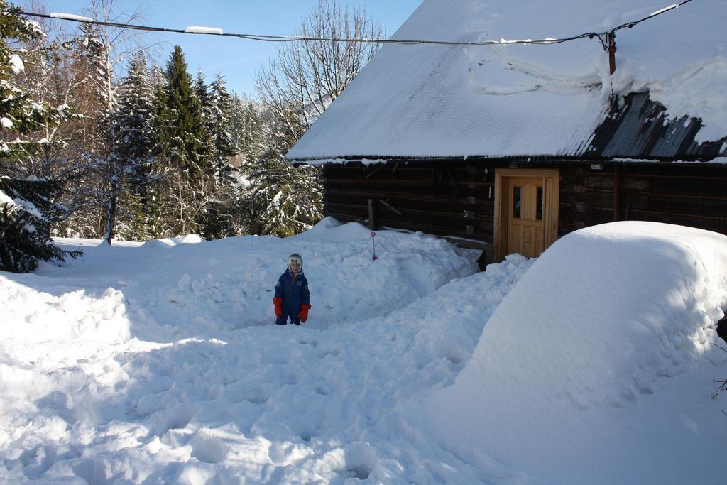 Chata Goralska Wojtasowka Kamesznica Exterior photo