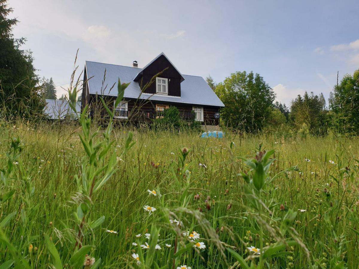 Chata Goralska Wojtasowka Kamesznica Exterior photo